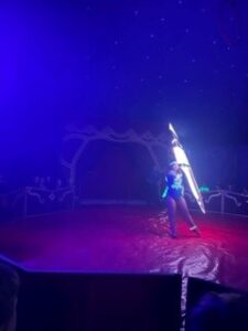 Zirkus 8